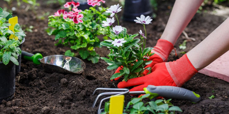 jardinage