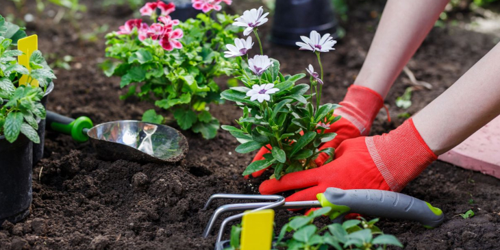 jardinage