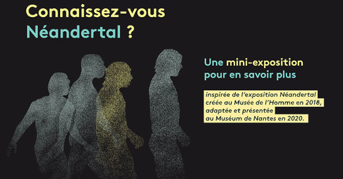 exposition neandertal